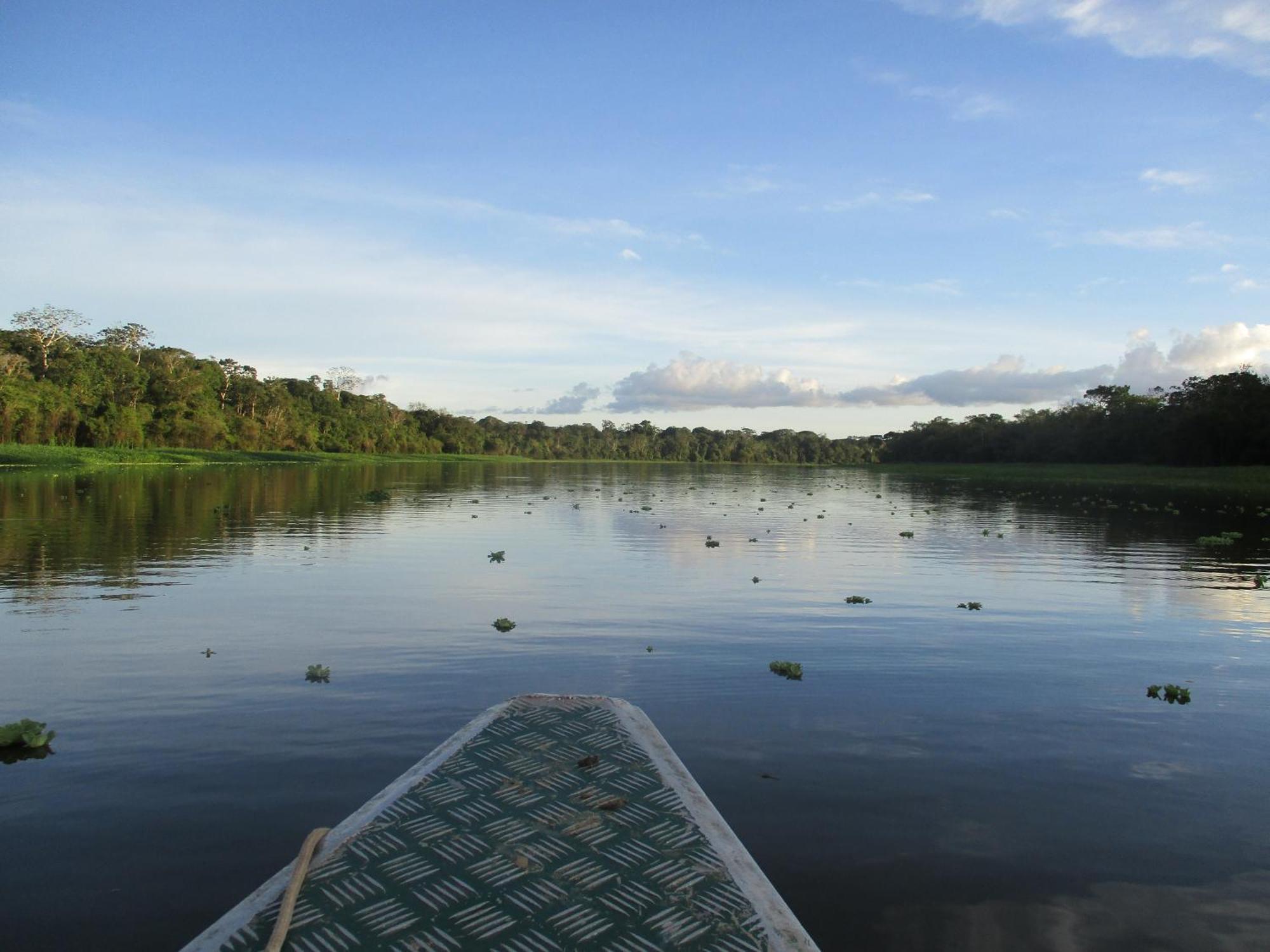 Amazon Curassow Lodge And Expeditions Paraíso Exteriér fotografie