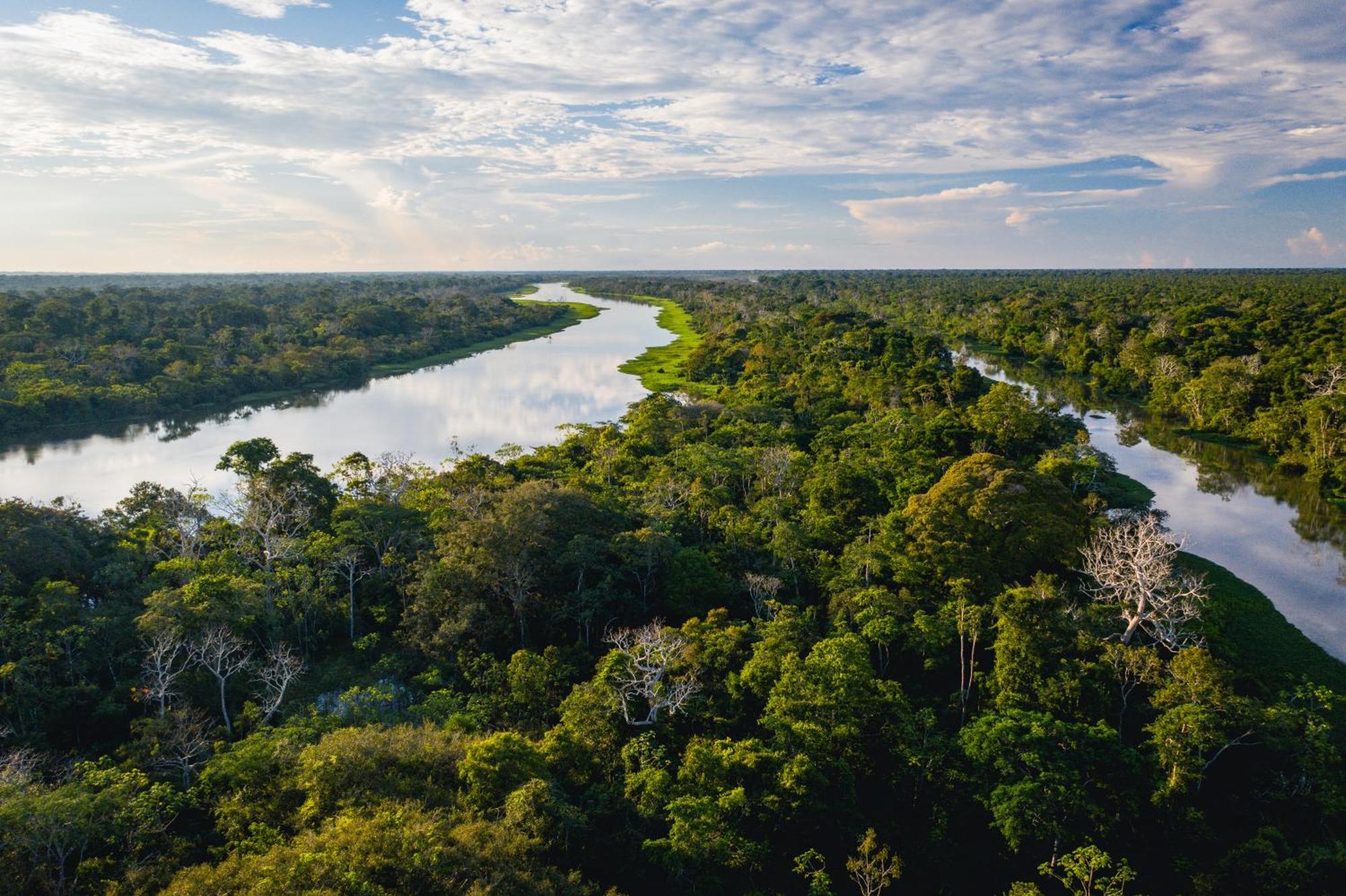 Amazon Curassow Lodge And Expeditions Paraíso Exteriér fotografie