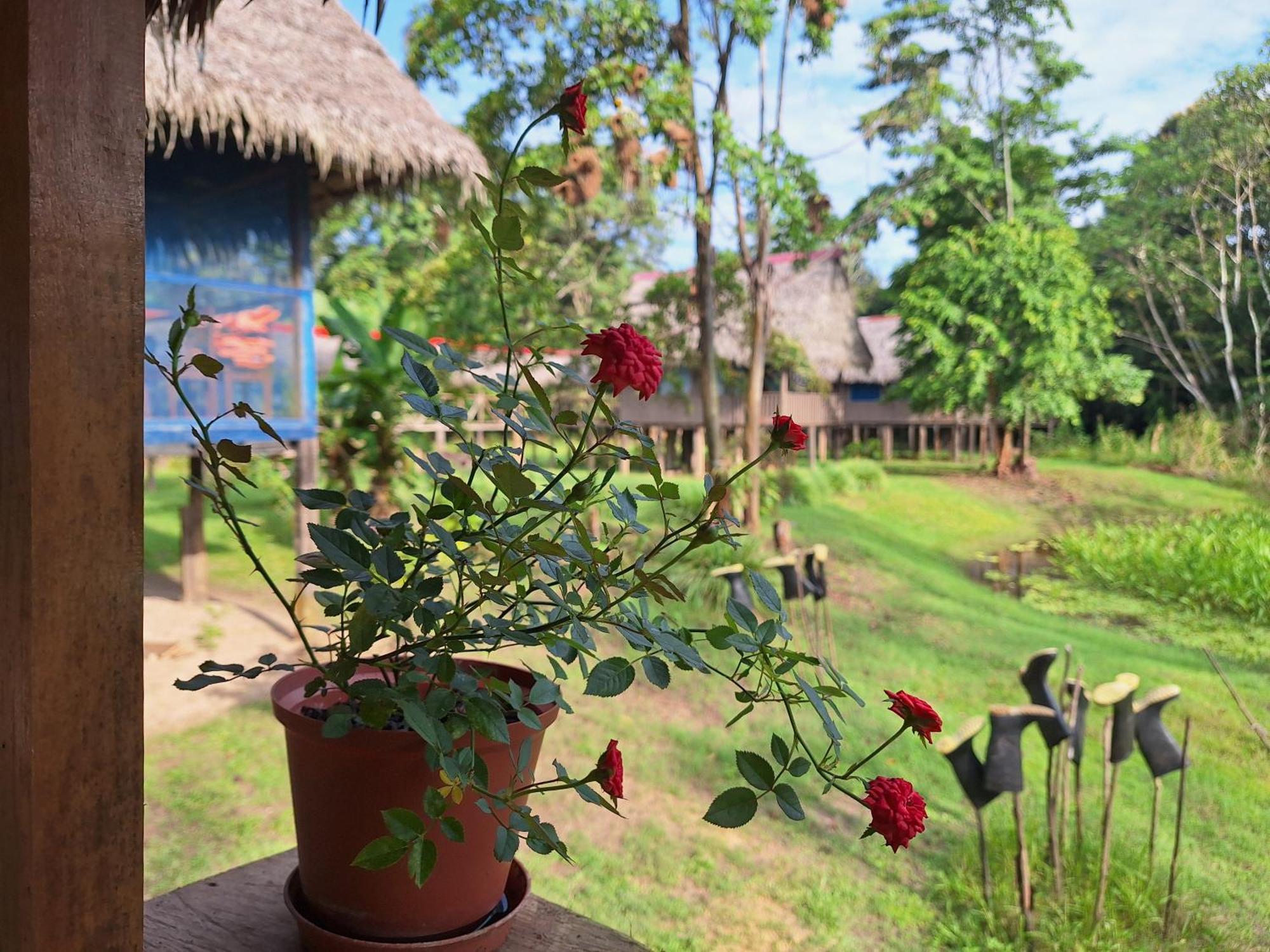 Amazon Curassow Lodge And Expeditions Paraíso Exteriér fotografie