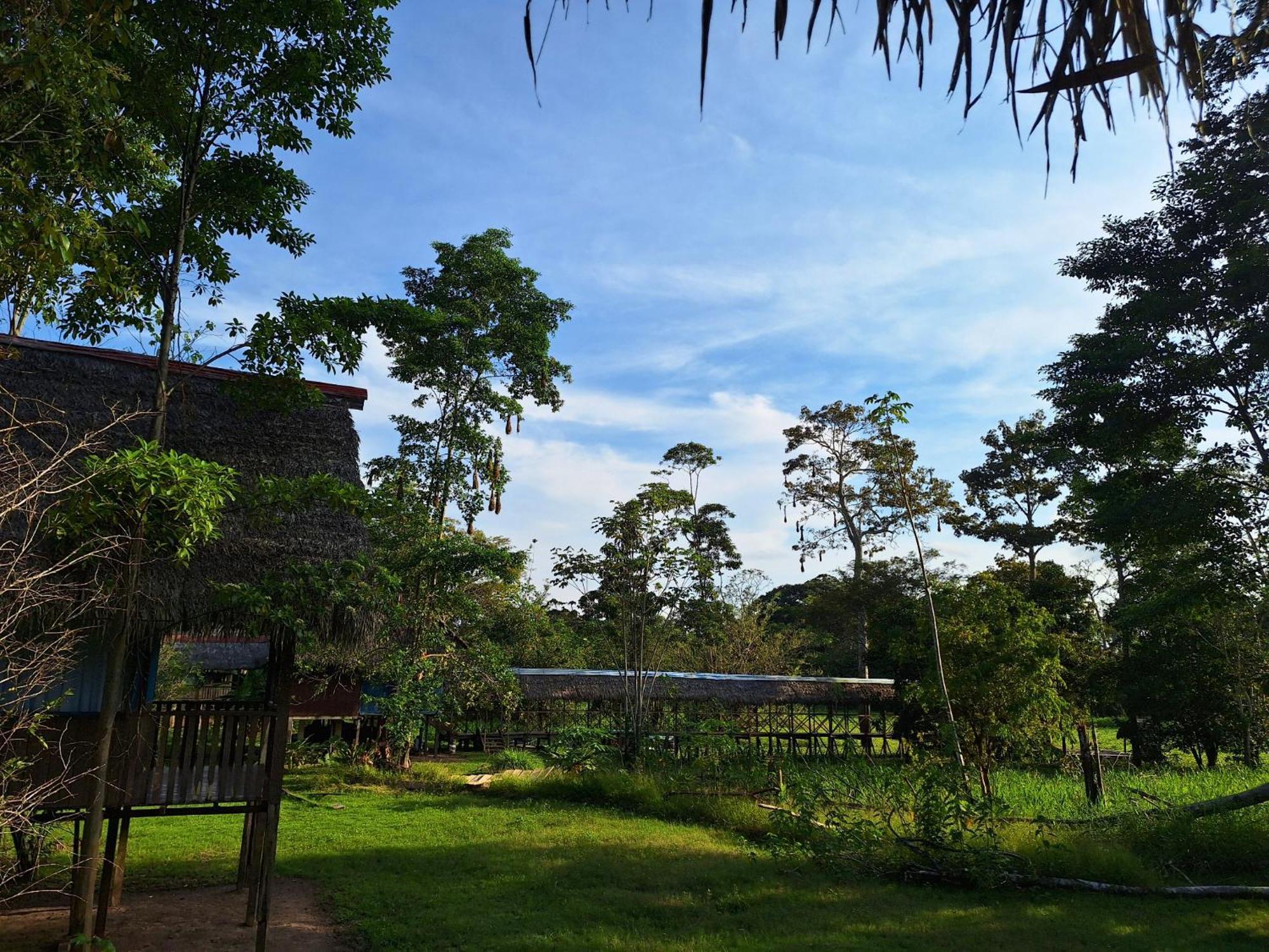 Amazon Curassow Lodge And Expeditions Paraíso Exteriér fotografie